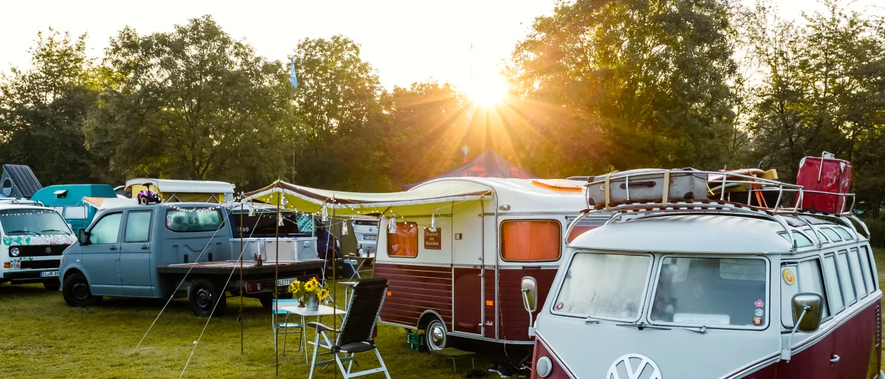 Alte VW-Busse auf einer Wiese