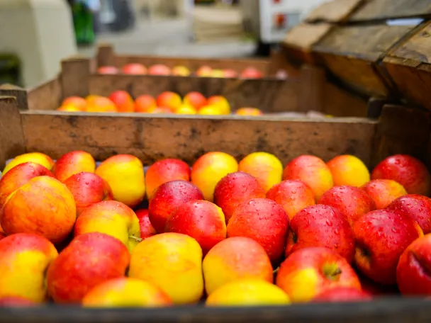 Äpfel in Obstkisten zur Veranstaltung Frühlingsfest