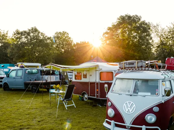 Alte VW-Busse auf einer Wiese