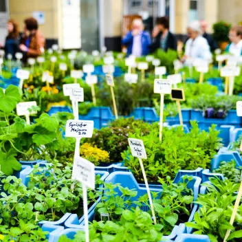 Kräuterbeet auf der Veranstaltung Frühlingsfest