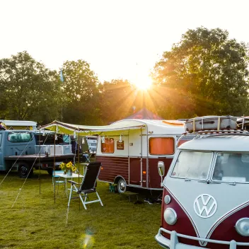Alte VW-Busse auf einer Wiese