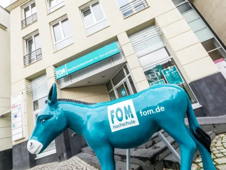 Eselfigur der FOM vor dem Eingang auf dem Großen Markt